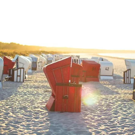 Haus Strandeck 3* זינקסט