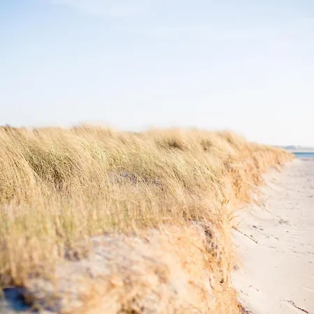 Haus Strandeck בית הארחה זינקסט